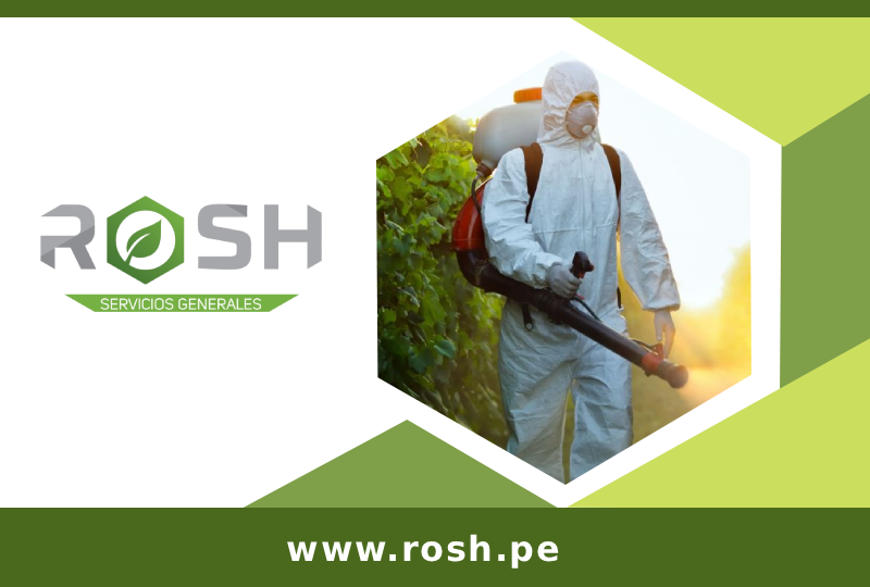 imgi_16_rosh
